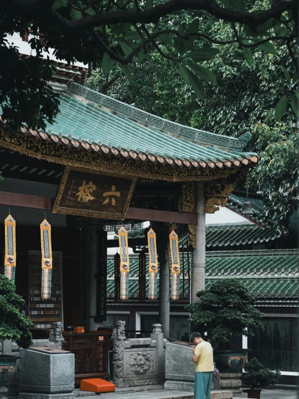 Гуанчжоу и Шэньчжэнь только для вас: исторические кварталы и современные районы