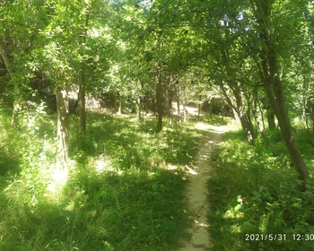 Пешая прогулка в село Ашраф