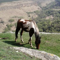 Фото отзыва 8: экскурсия "Кисловодск с высоты птичьего полёта в мини-группе"