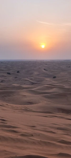 Тур был организован идеально. Водитель хорошо владеет английским языком, вождение это особенная история. Не каждый сможет
