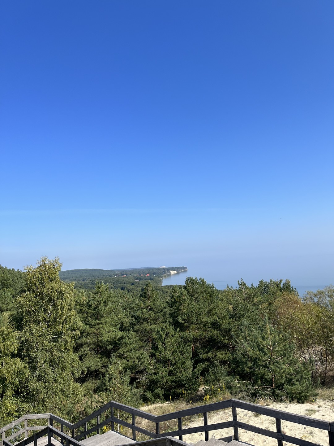 На Куршскую косу с опытным гидом - из Калининграда (Екатерина)