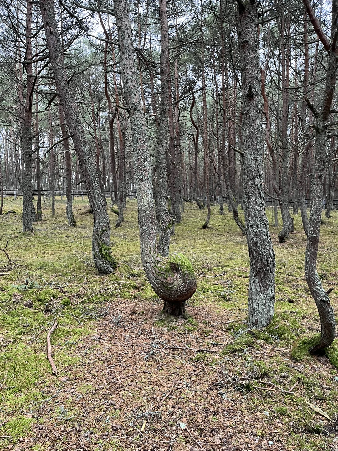 Классная экскурсия. Достаточно свободного времени, чтобы насладиться природой, видами, поделать фотографии. Артём интересный рассказчик, хорошо знает