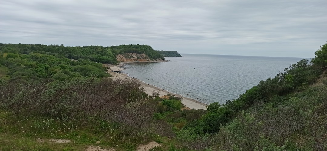 Всю дорогу до Москвы в самолёте читали книгу, подаренную Игорем. Замечательные рассказы. Пишите ещё, у Вас