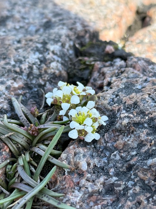 Виды Три водопада и окрестности Мурманска