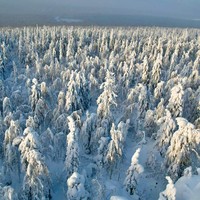 Фото отзыва 3: экскурсия "Каменный город и Усьвинские Столбы"