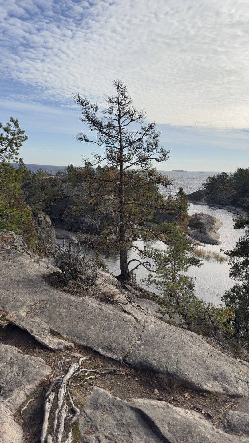 Групповая прогулка на катере по Ладоге (Елена)