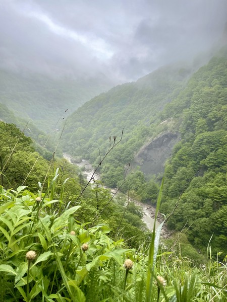 супер! очень понравилось! не утомительно, хоть и много гуляли, поднялись везде куда можно, залезли на все