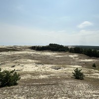 Фото отзыва 1: экскурсия "Волшебная Куршская коса"