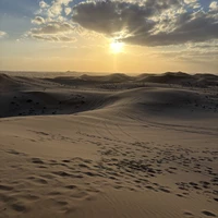 Фото отзыва 2: экскурсия "Сафари в пустыне, ужин, шоу и фото в красном платье (из Дубая)"