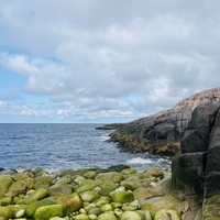 Фото отзыва 2: экскурсия "Териберка и морская прогулка за 1 день! (в группе)"
