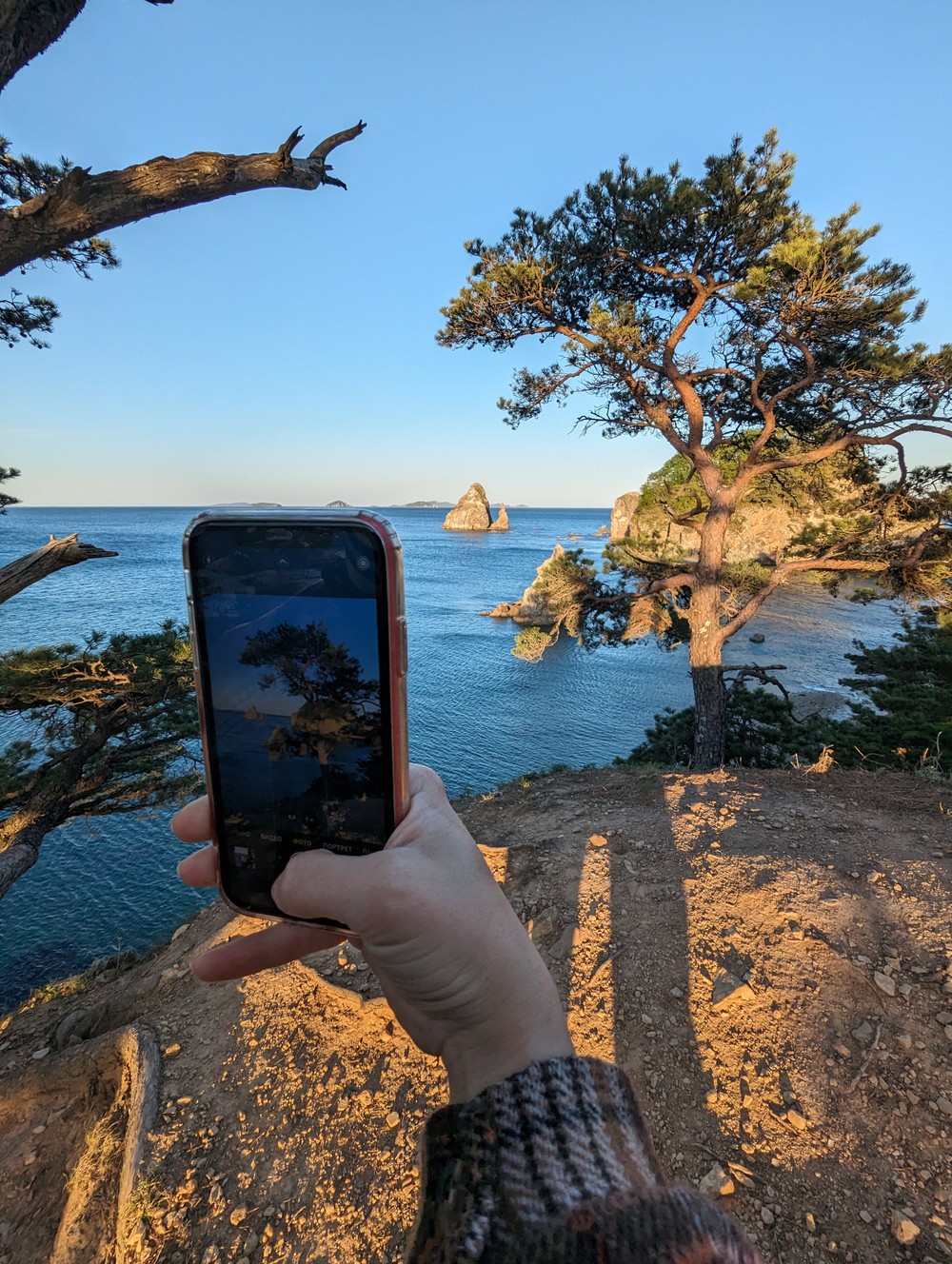 Из Владивостока — в морской заповедник у мыса Сосновый (5/6)