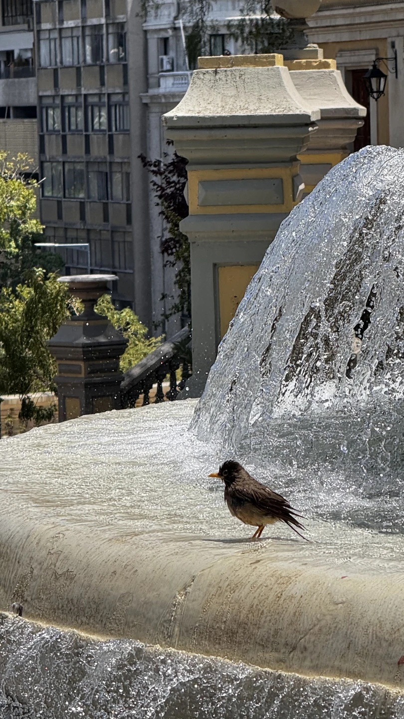 Очень понравилась экскурсия от Марата! Посетили максимум интересных мест при ограниченном времени. Однозначно рекомендуем всем, кто