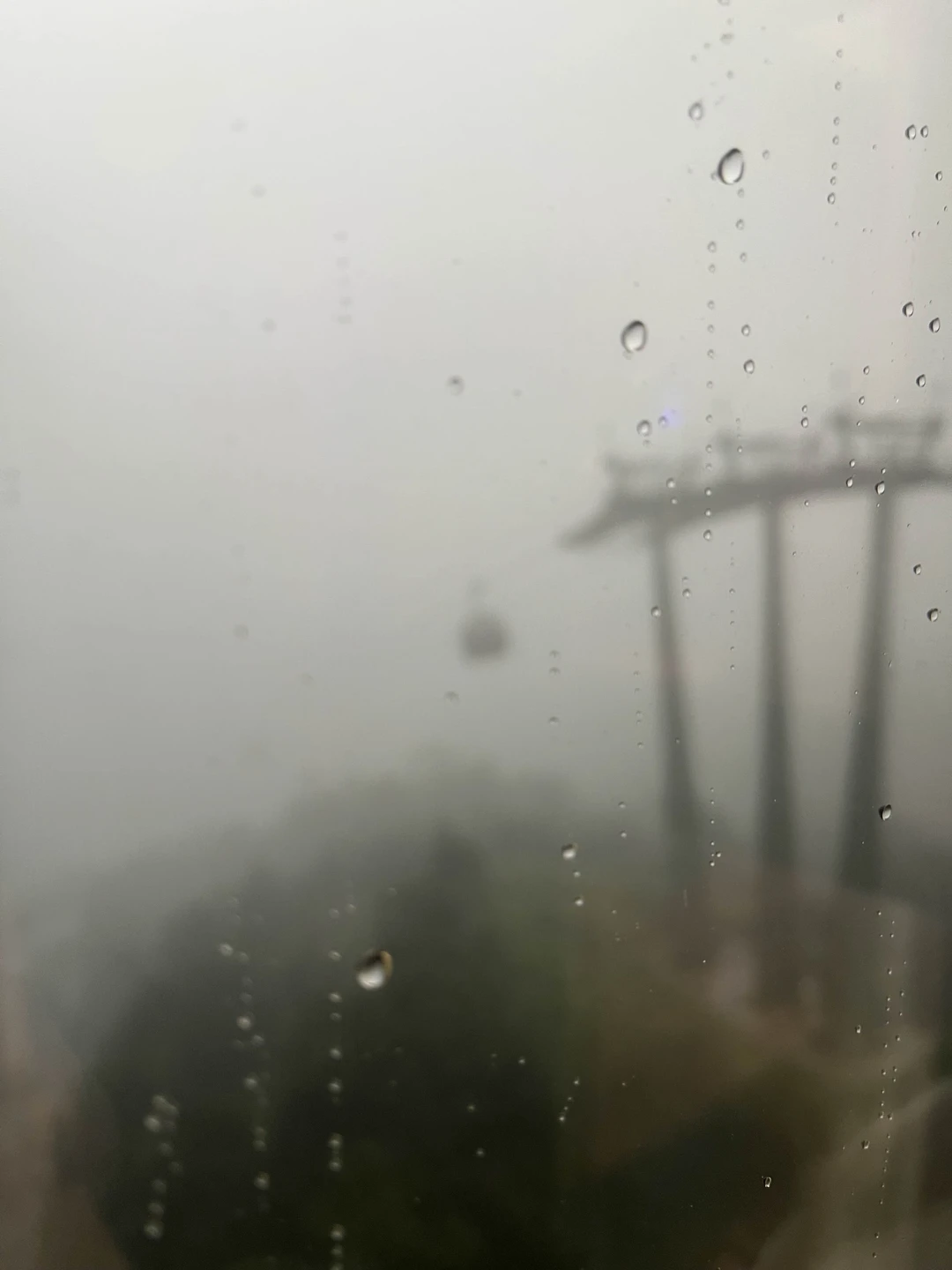 Мы попали в тайфун и поэтому данная экскурсия не особо удалась. Золотой мост был закрыт и