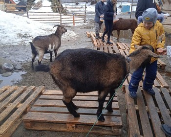 Саамская деревня и Кировск