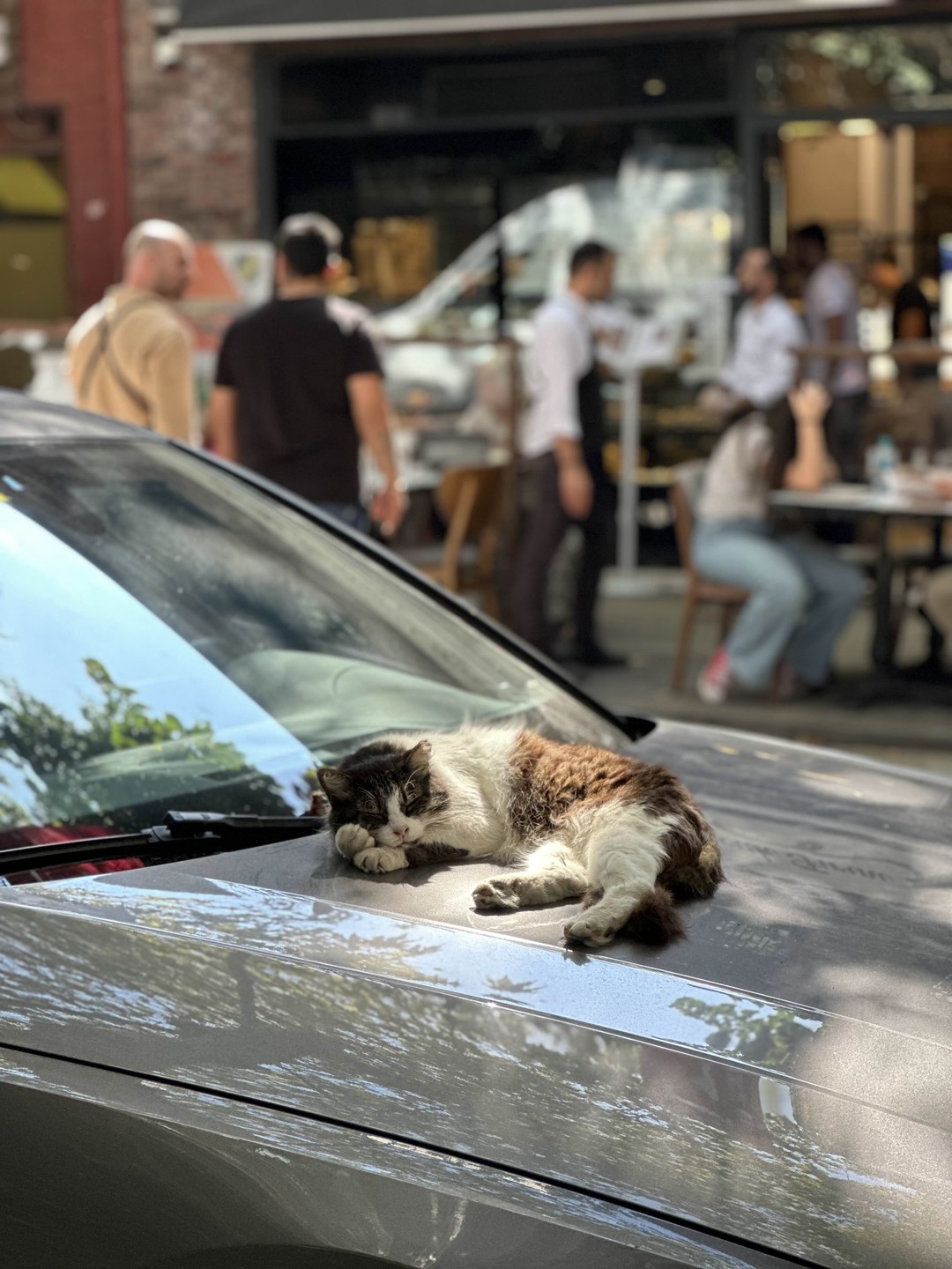 Две грани Стамбула: Долмабахче и Кузгунджук (Юлия)