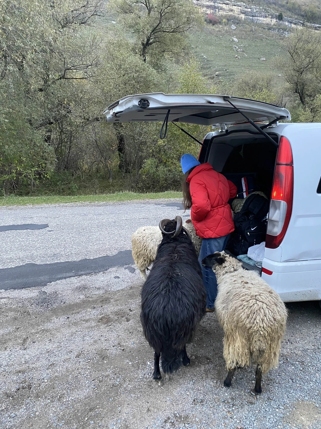 Огромная благодарность за организацию такой экскурсии. Все прошло на высоком уровне☺️