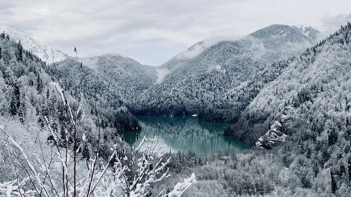 Охотники за мандаринами (2/19)