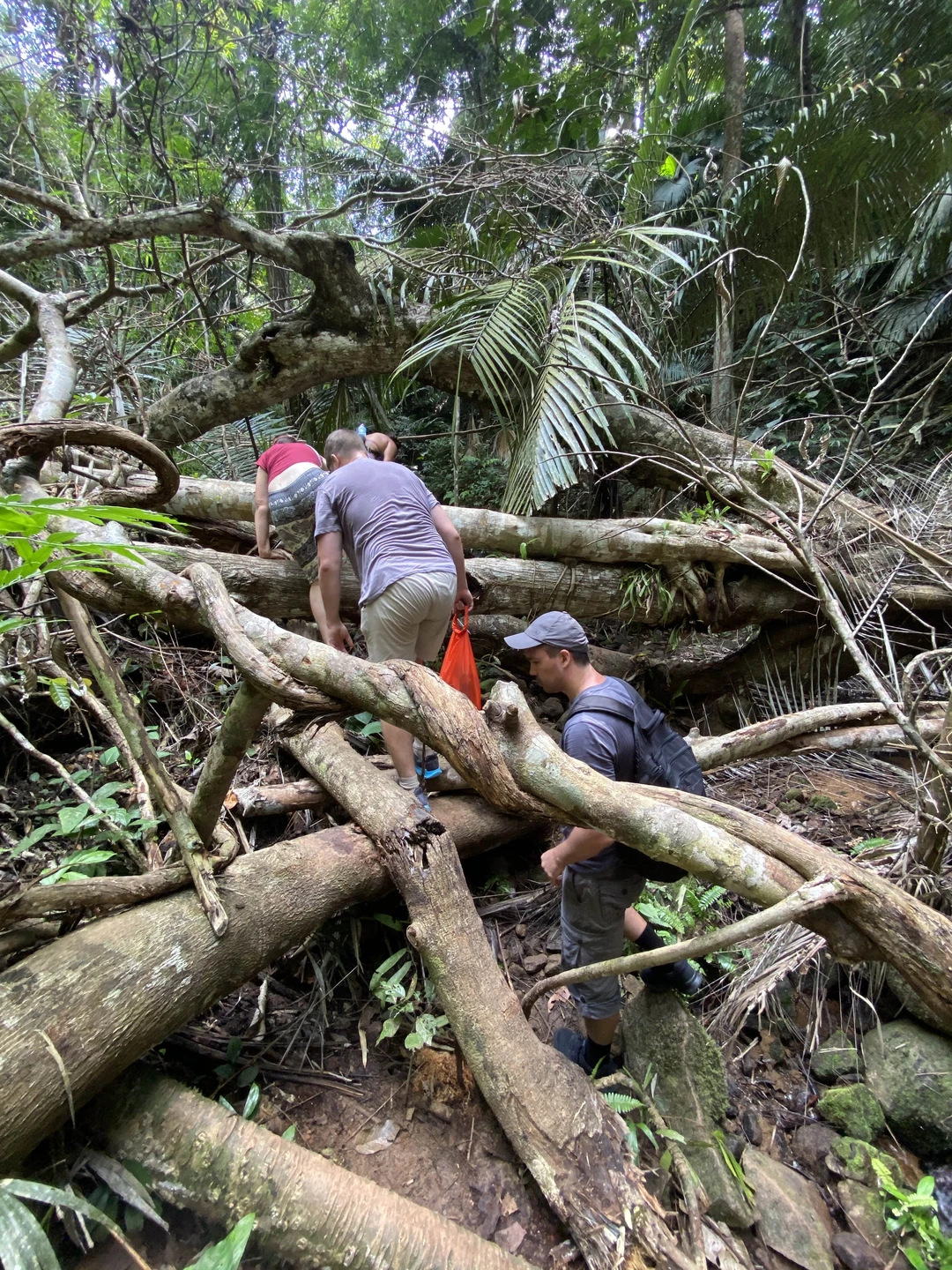 Мы забронировали 4 экскурсии у Сабри - нам понравился его подход: мы сообщили, что на Пхукете