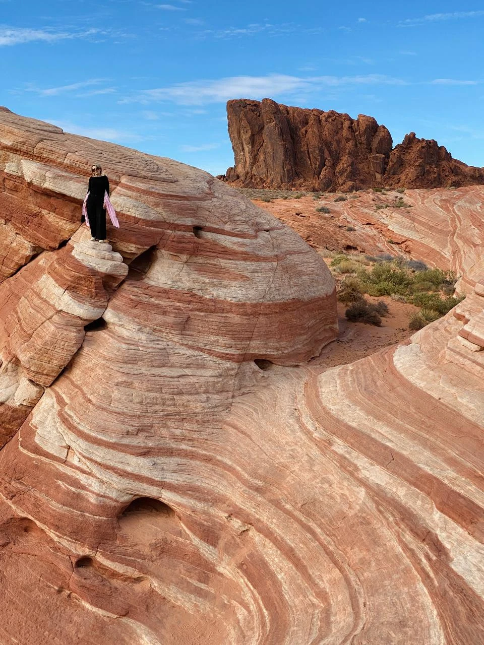 Я знаю, что в Лас Вегас лучше прилетать ночью. Тогда этот, в чем-то «пластмассово-игрушечный» город, заставляет