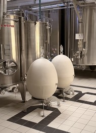 Фото отзыва 4: экскурсия "Незабываемая Шампань: мировые бренды, семейные винодельни и дегустации"