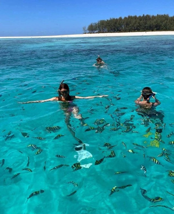 Снорклинг у острова Мнемба и купание с дельфинами