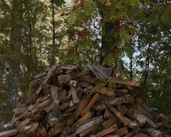 Заезд, вводная часть про технику ловли и рыбалка с берега