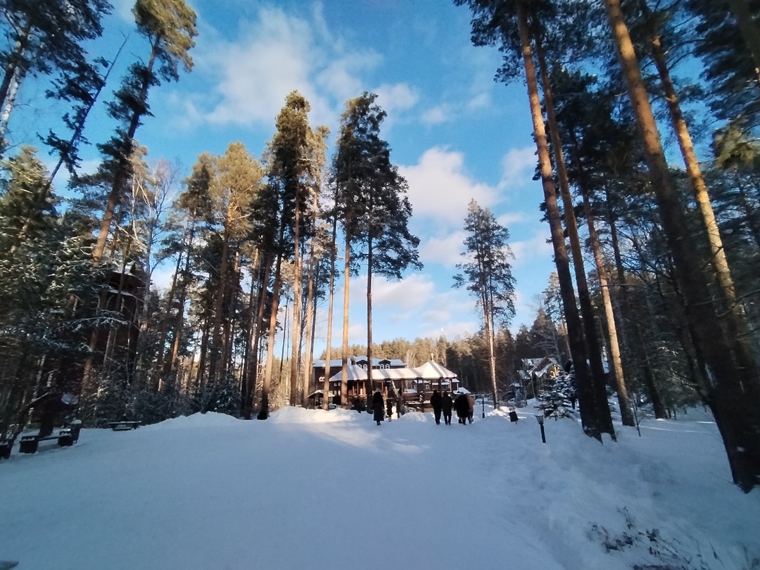 Роман о Романовых в Екатеринбурге (Алена)