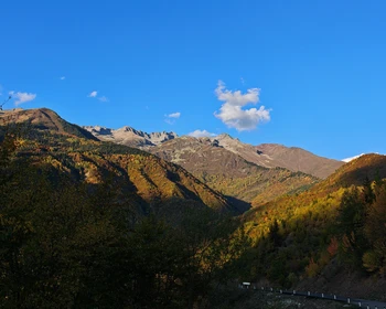 Путешествие в мир Средневековья