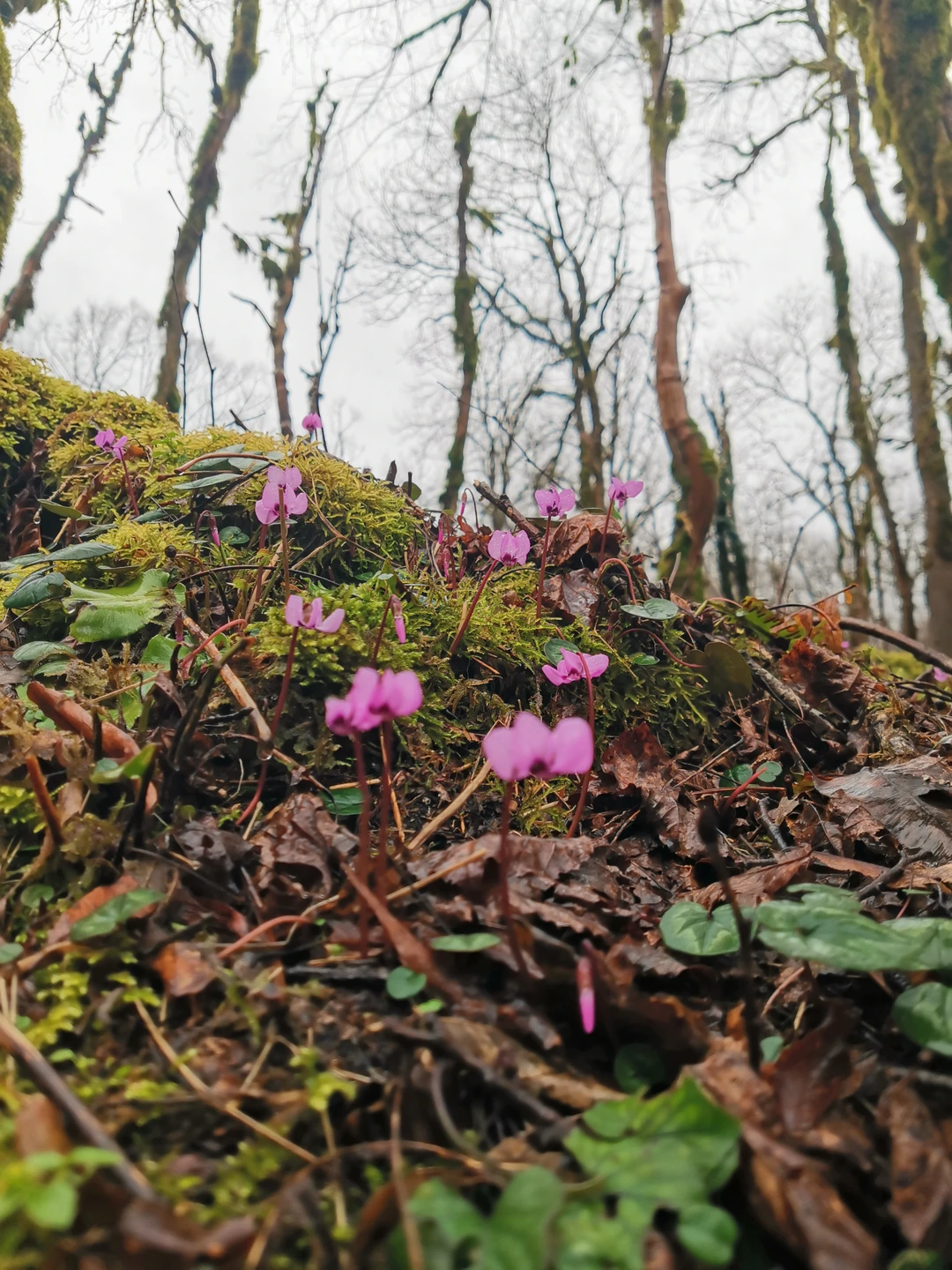 Поездка была великолепной! Наш экскурсовод — Роман — отличный рассказчик: живо, с юмором и интересными фактами