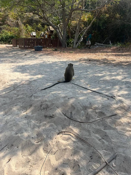 Сам остров красив, а точнее его пляж с бирюзовой водой, мелкий белоснежный песок и скалы (девочки, фоточки будут суперские)