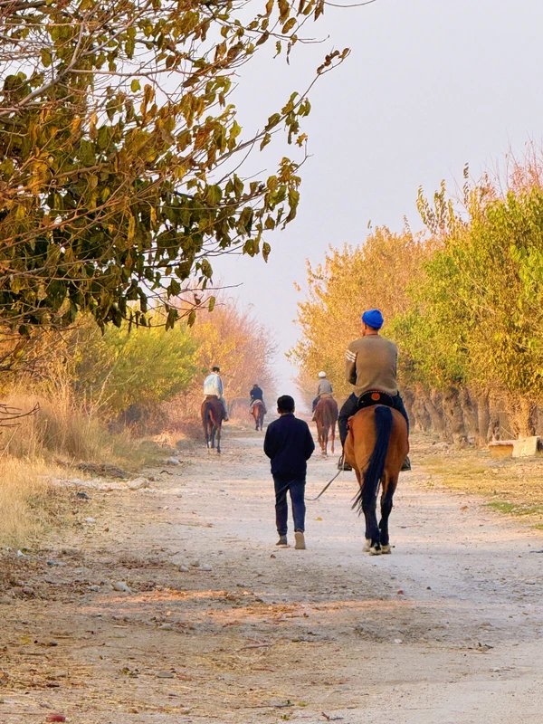 Конная прогулка по деревенским окрестностям Самарканда