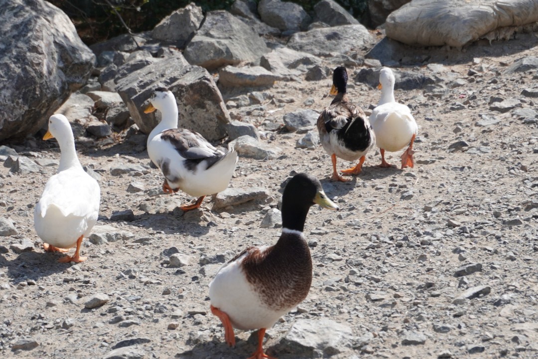 Прекрасная поездка с чудесной Натальей! Благодарим за интересный маршрут и приятную беседу. Были учтены все пожелания по экскурсии