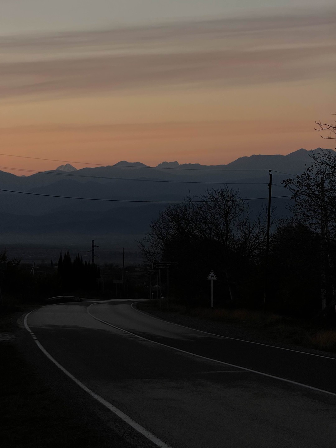 Из Тбилиси - в Кахетию на весь день: вино, храмы и Сигнахи (Алена)