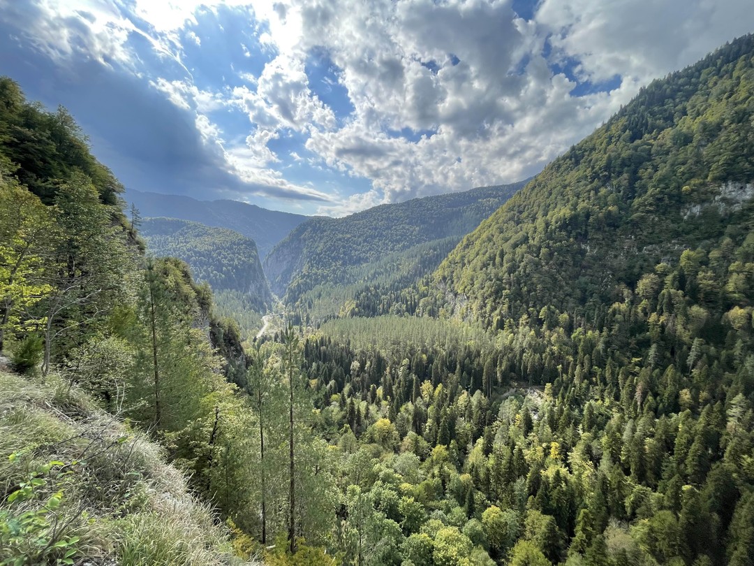 Прекрасная однодневная поездка в Абхазию для знакомства с этой красивой и самобытной страной. Наш гид -