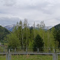Фото отзыва 3: экскурсия "Укротившая Енисей: экскурсия на Саяно-Шушенскую ГЭС"
