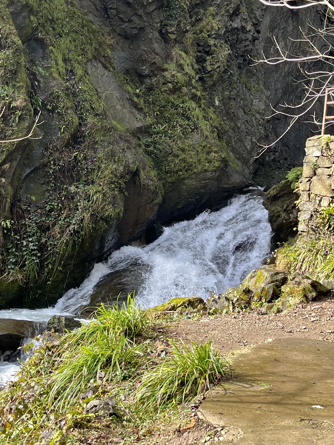 Всем привет. Хочу от всей души поблагодарить каждого причастного к нашему хорошему настроению. Началось с того