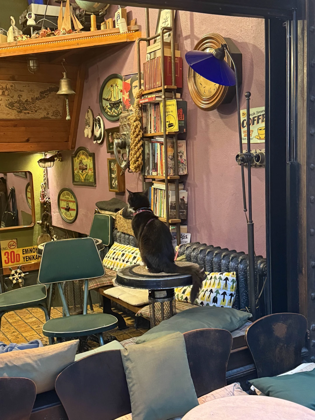 Стамбул без путеводителя: экспедиция по современным районам (Ольга)