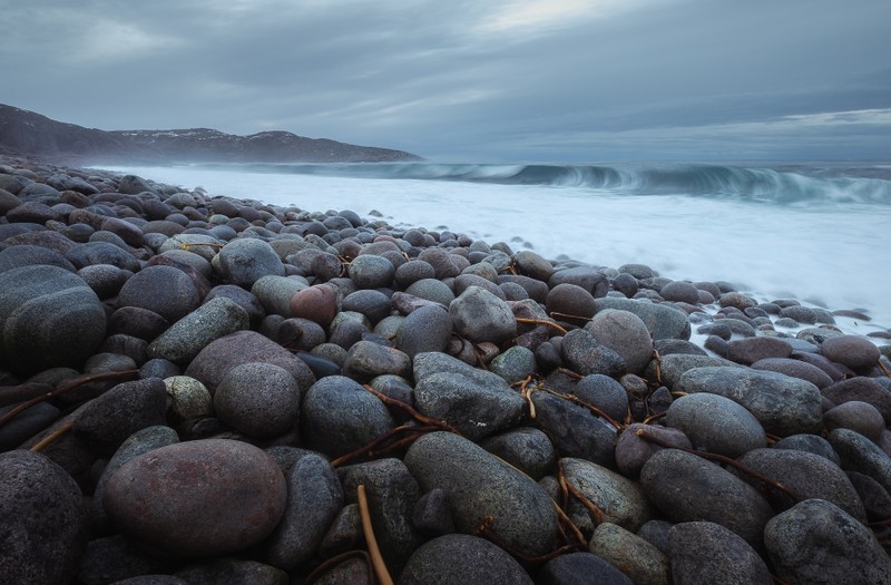 Виды Природа Заполярья и встреча с китами — это Териберка!