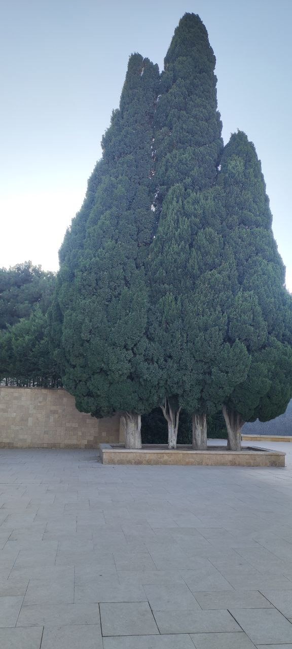 Турал провел отличную экскурсию по заявленной программе, в том числе с учётом наших ограниченных возможностей в