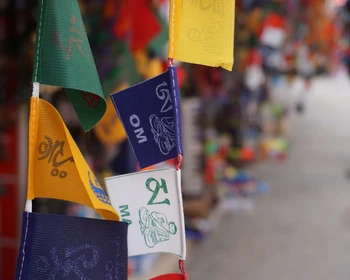 Водопады Багсу, прогулка по лесу