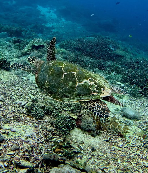 все было супер!