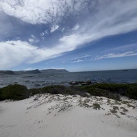 Фото отзыва 2: экскурсия "Из Кейптауна — к пингвинам и мысу Доброй Надежды"