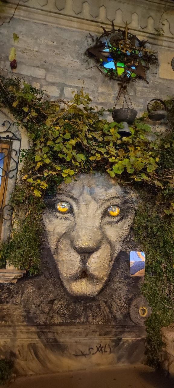 Турал провел отличную экскурсию по заявленной программе, в том числе с учётом наших ограниченных возможностей в