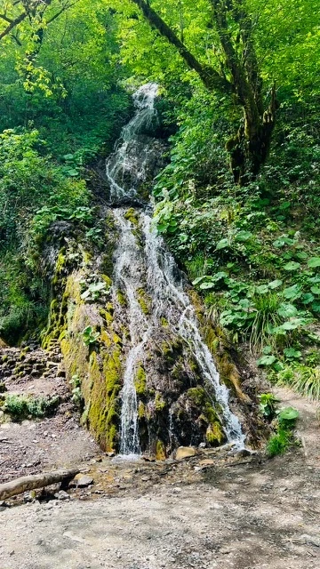 Красная Поляна «под ключ» на премиум-авто из Сочи (Александр)
