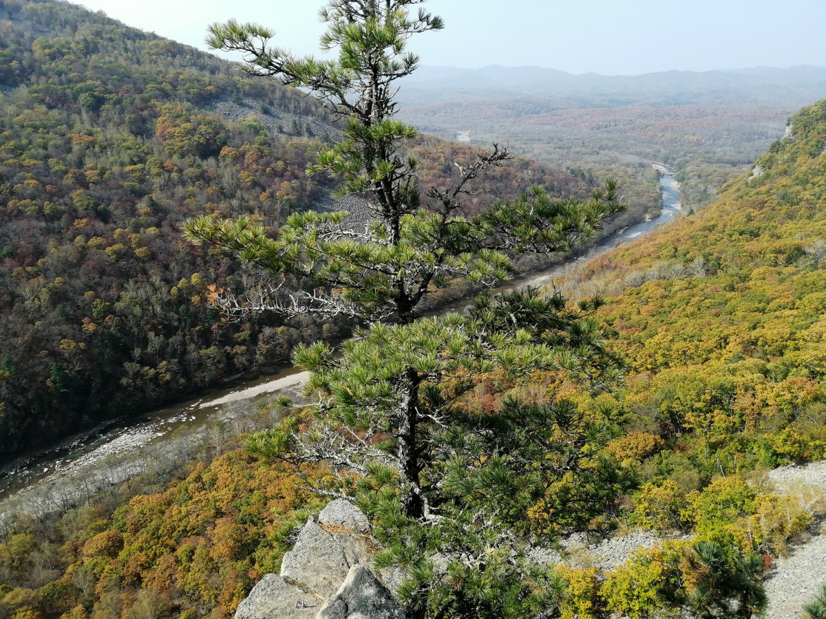 Неожиданное Приморье: из Владивостока — к водопаду, горной реке и ущелью Дарданеллы (6/14)