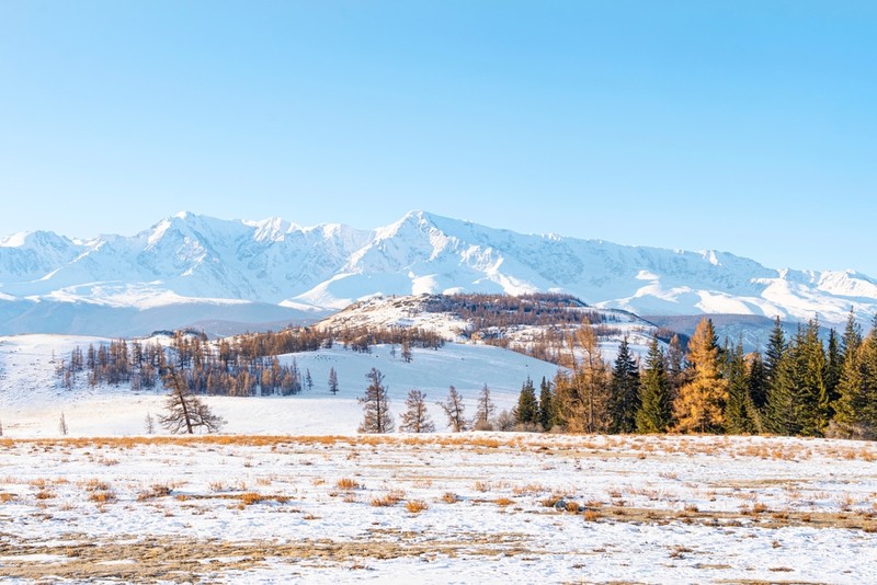 Автопутешествие по Горному Алтаю: Уймонская долина, Белуха и «каменные бабы»