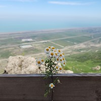Фото отзыва 1: экскурсия "Радужные горы, Розовое озеро, гора Бешбармаг + чаепитие на вершине"