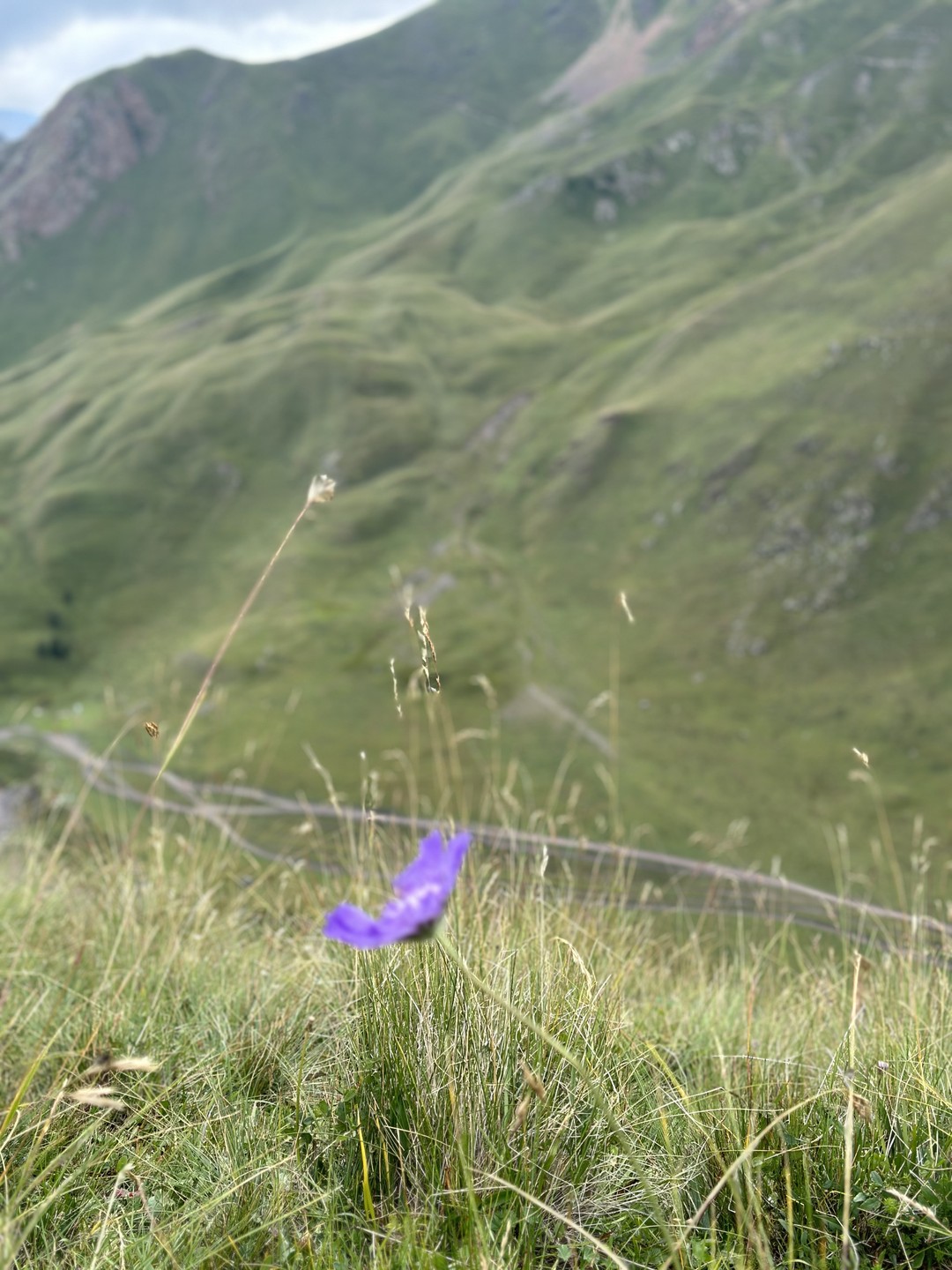 Выражаем большую благодарность Ахмату за наше путешествие на урочище Джилы-Су. Всю поездку Ахмат рассказывал интересные истории