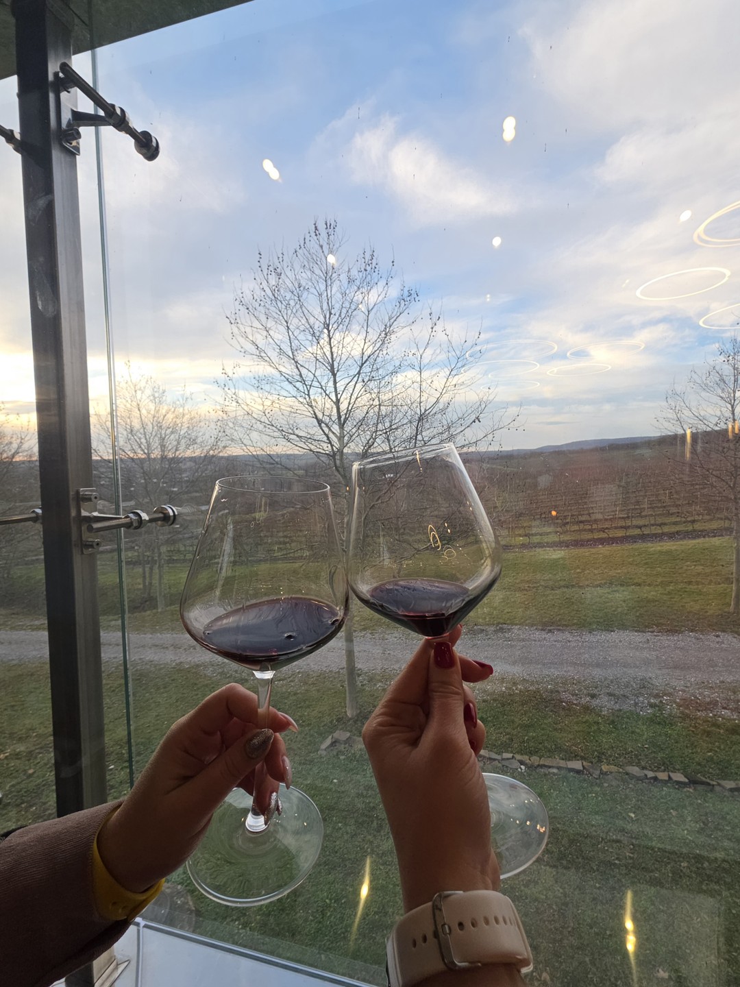 Винные открытия: Скалистый берег, Шумринка и Гай-Кодзор (Марина)