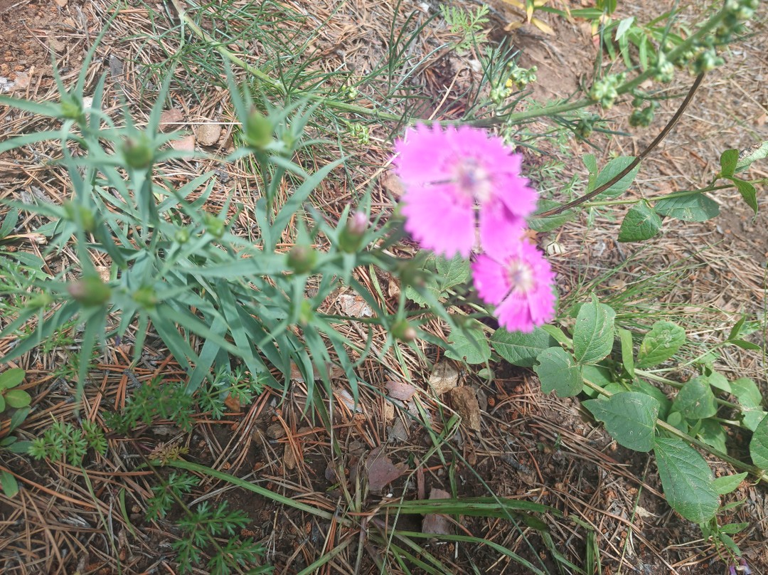 Маршрут отличный! Гид-Евгений приехал в оговоренное время. Отлично провёл по тропе. Рассказывал интересные факты, отвечал на